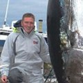 How much is a 1000 pound bluefin tuna worth?